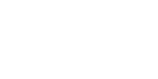 LlamaIndex